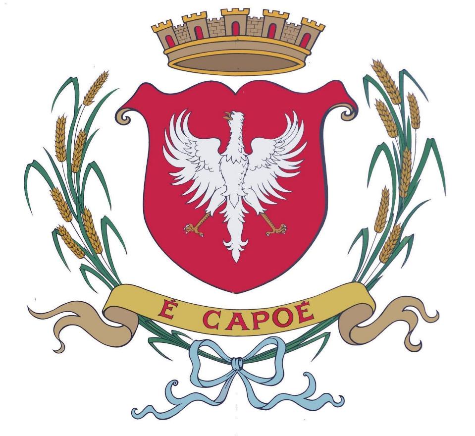 Logo Rumilly Cedex